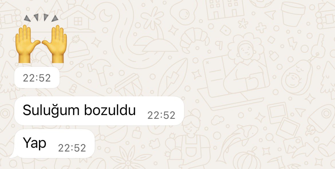 HALİLOVİČ tweet media