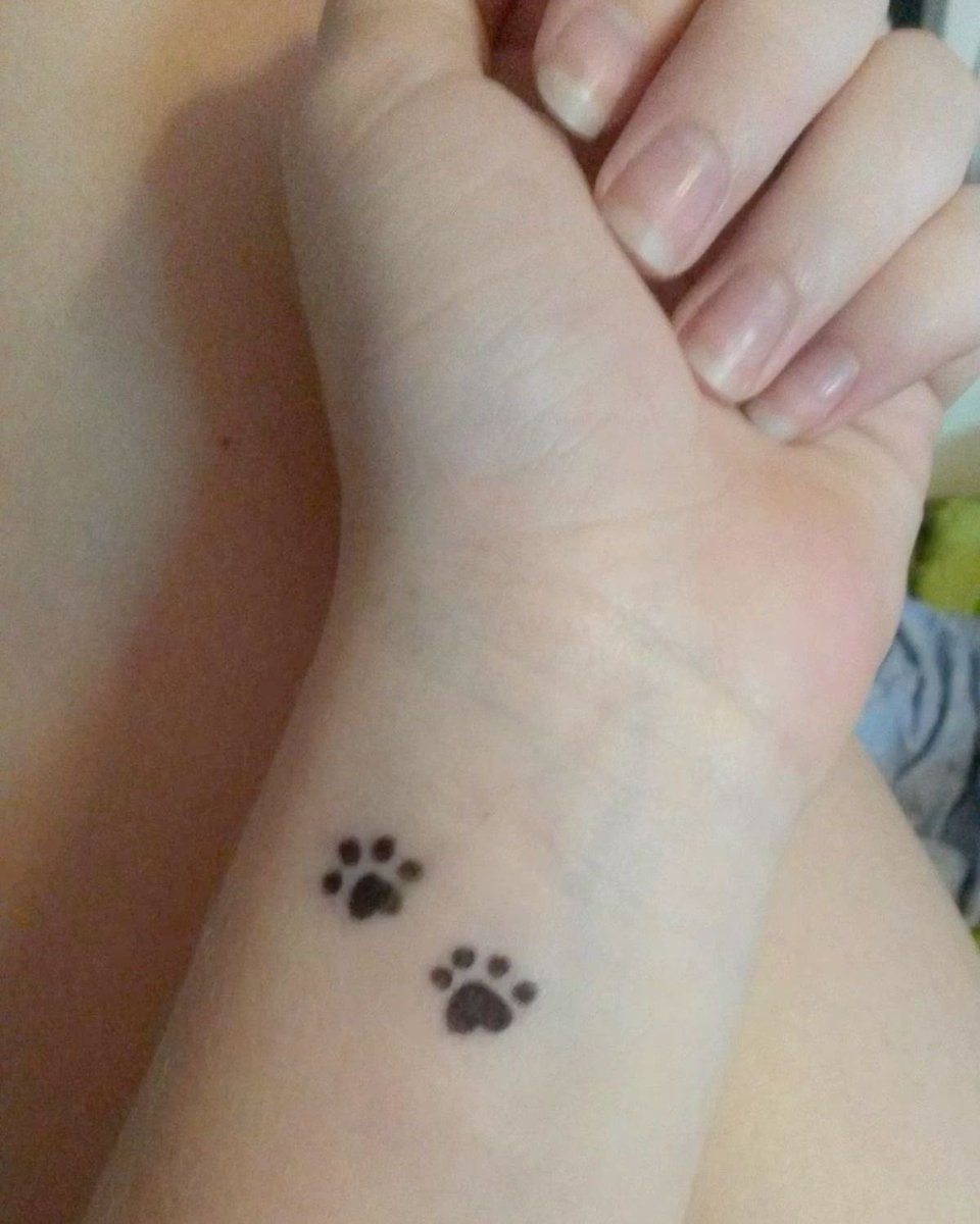 tao ݁ᛪ༙ || enhypen is SEVEN!!! tweet media