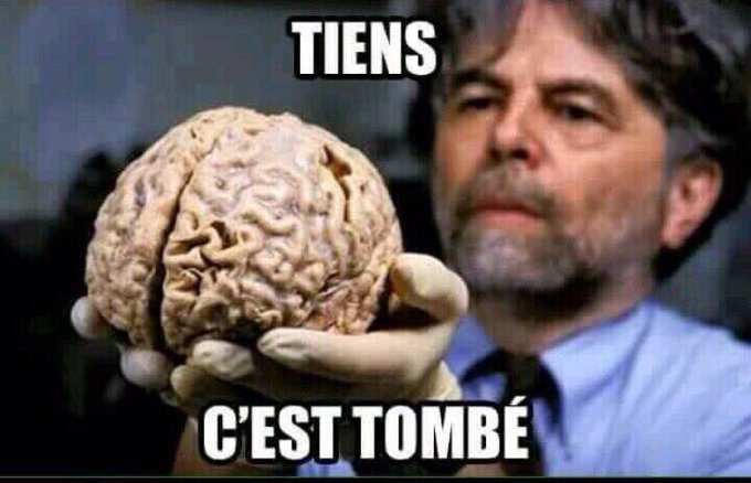 🇨🇵 Antinea45 🇨🇵 tweet media