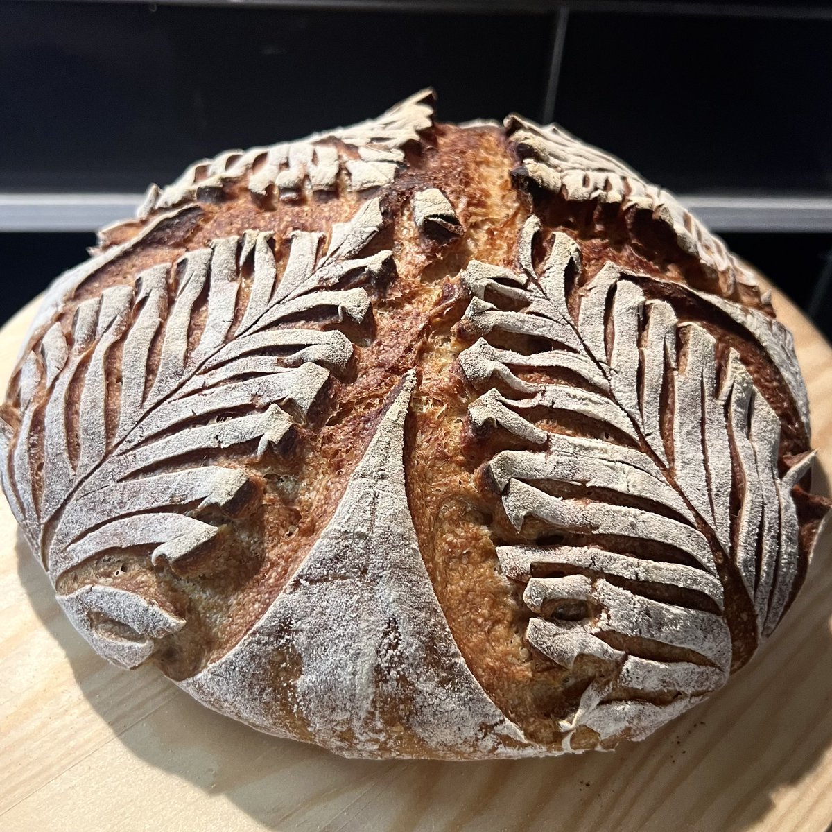 Neiti B. tweet media