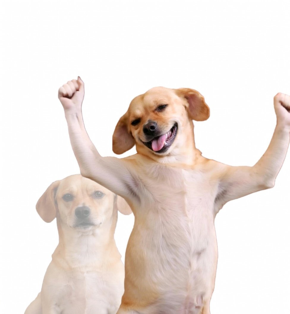 Morningstar tweet media