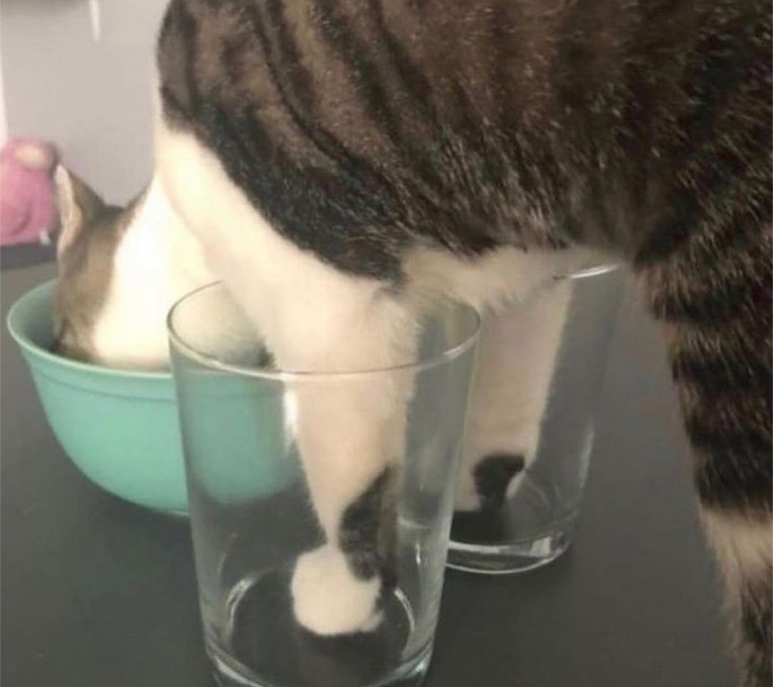 naumenko tweet media