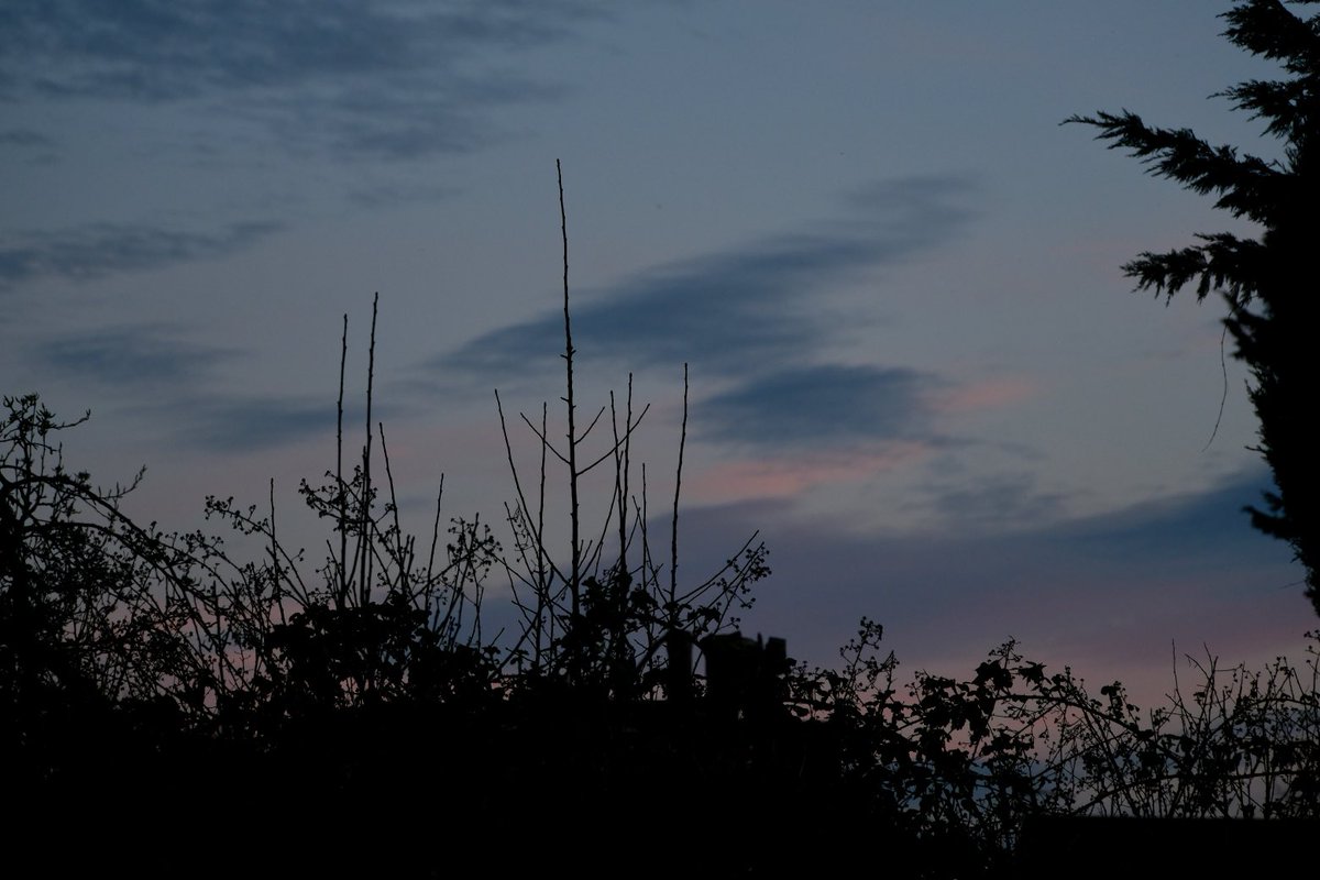 David Turner tweet media