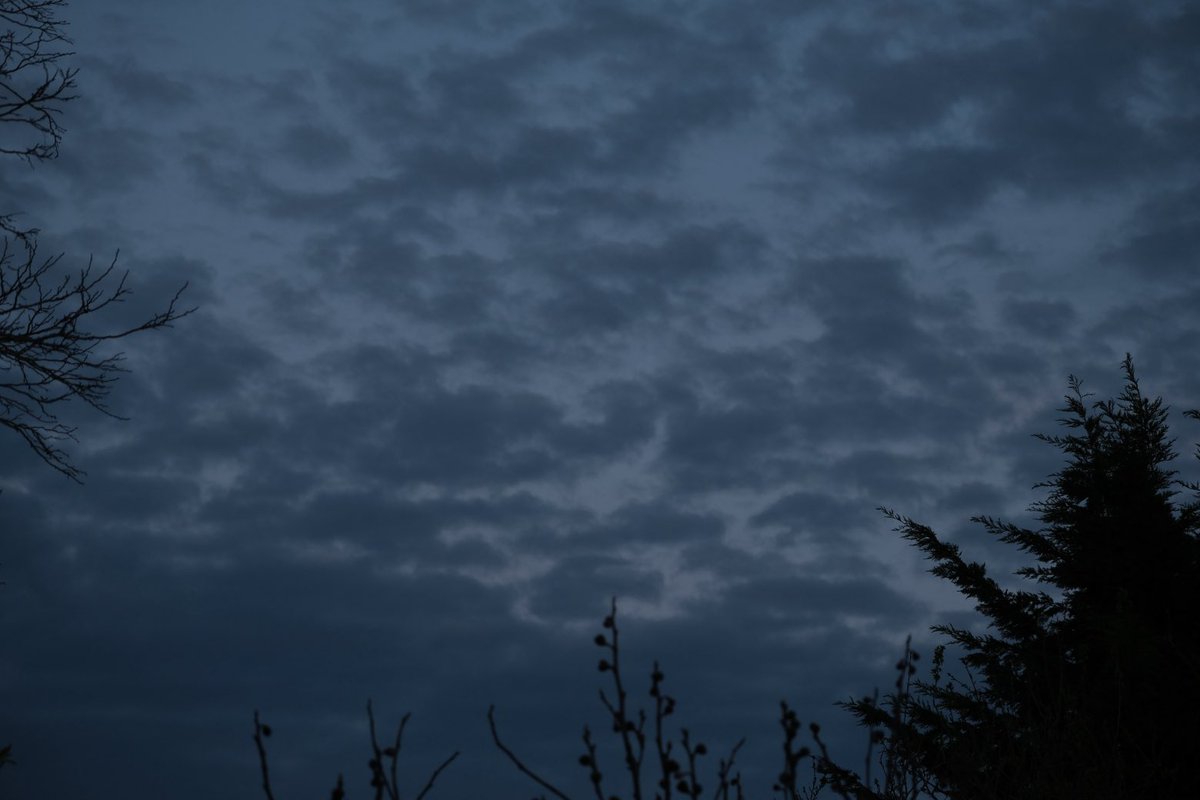 David Turner tweet media