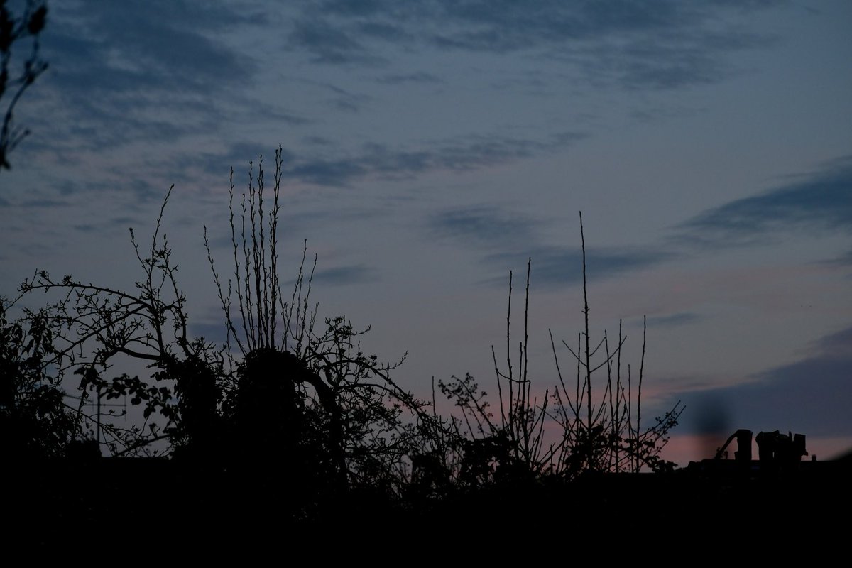 David Turner tweet media