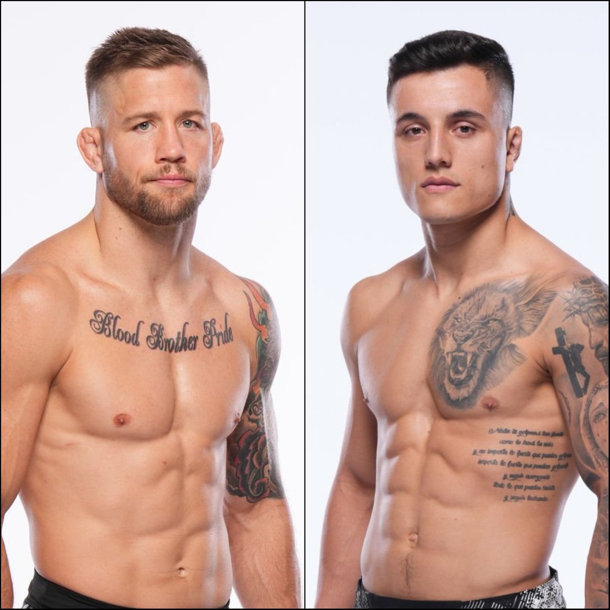 Marcel Dorff 🇳🇱🇮🇩 tweet media