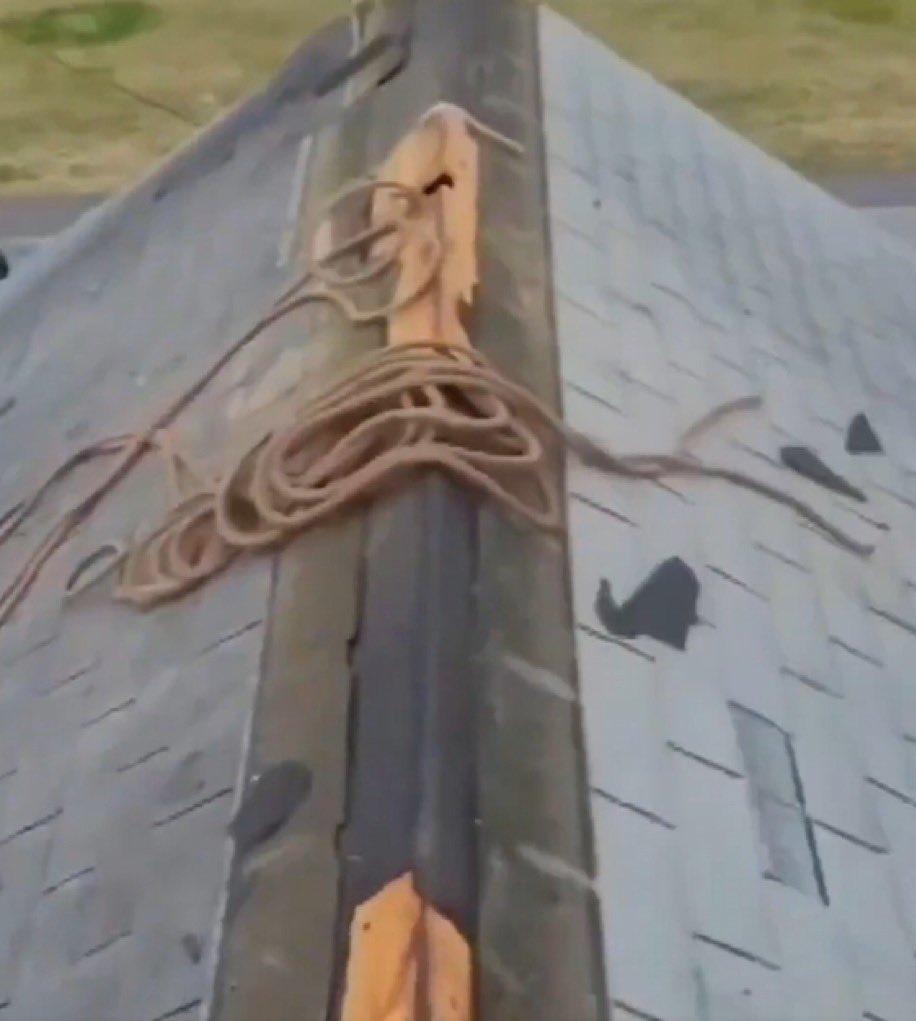 Officer Tyreek tweet media