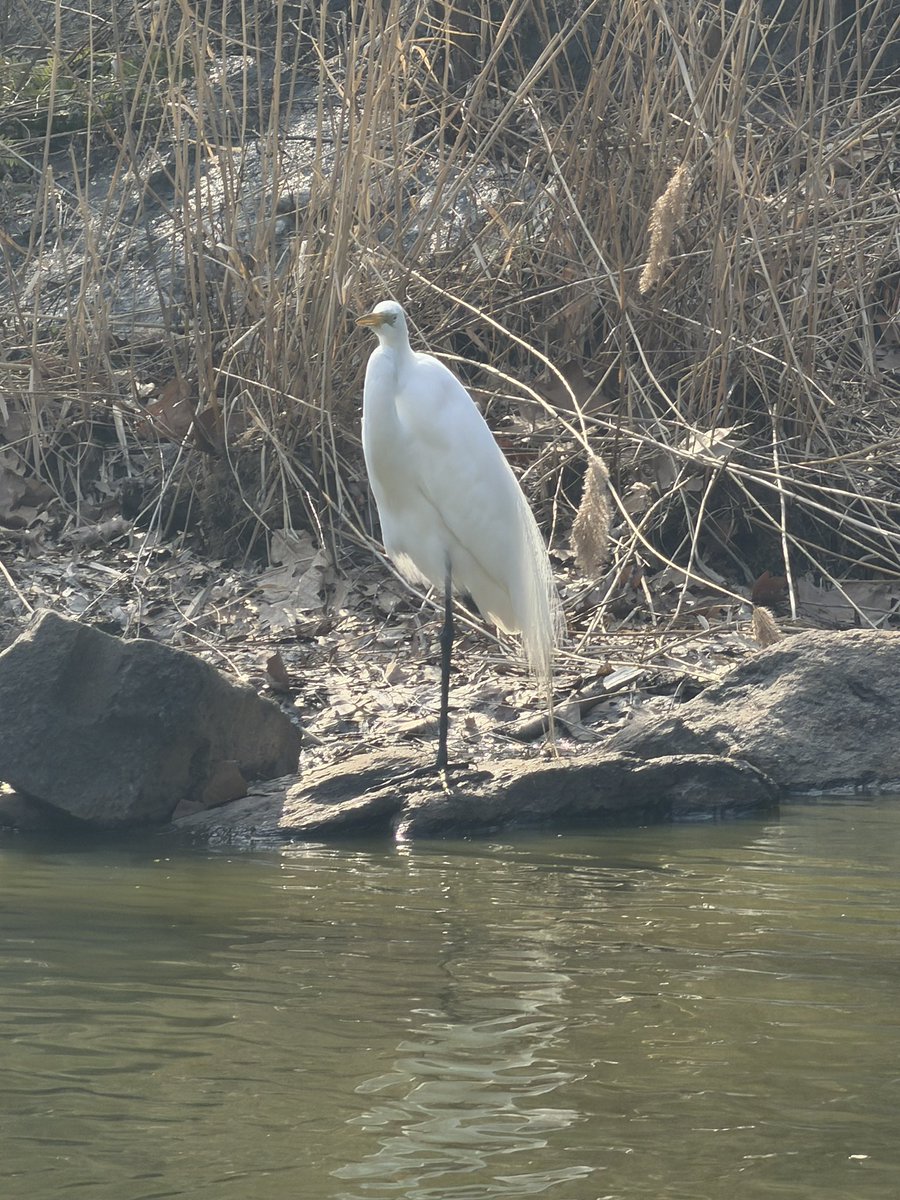 Jordana M tweet media