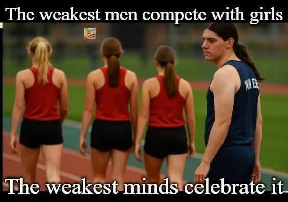 David Taylor 🇺🇸 FJB 🇺🇸 tweet media