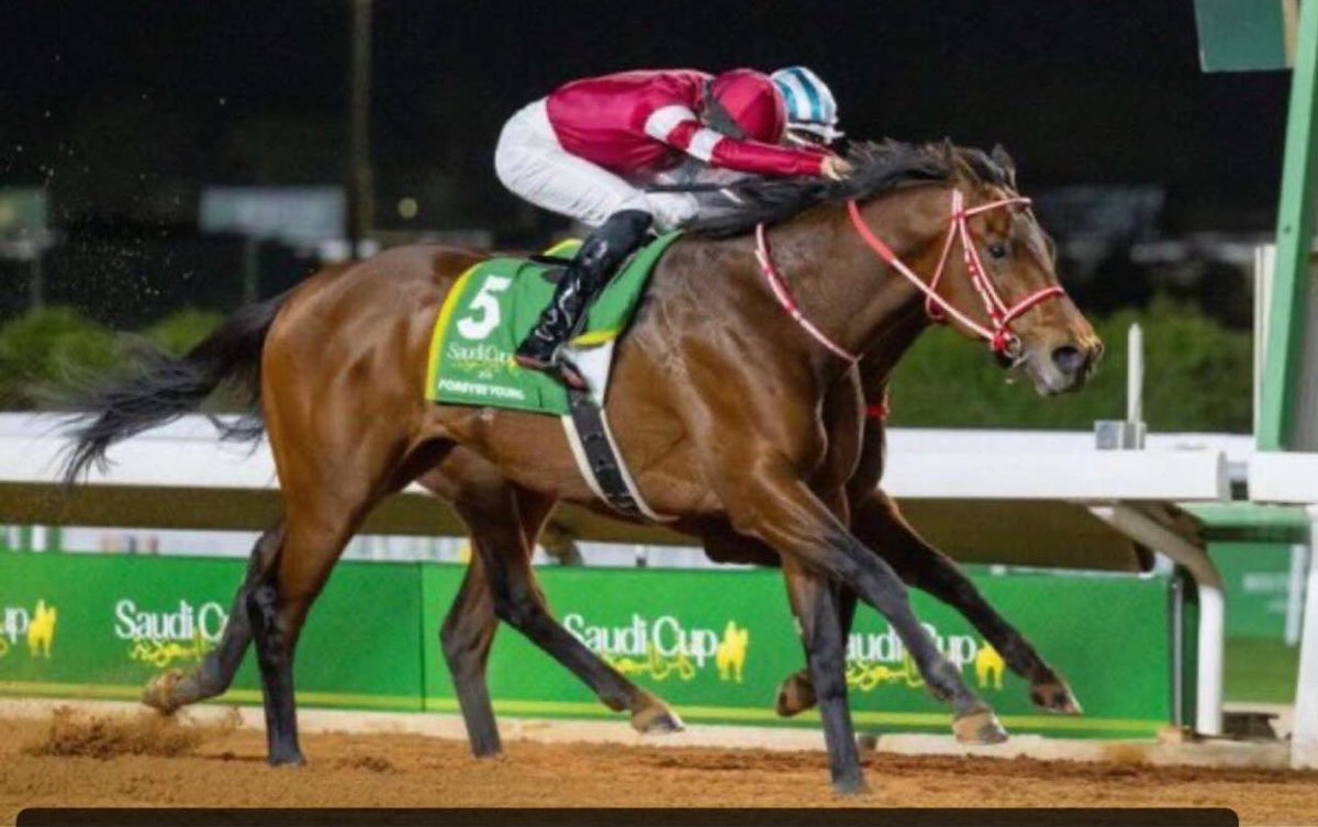 أحمد صقر الفرماوي tweet media