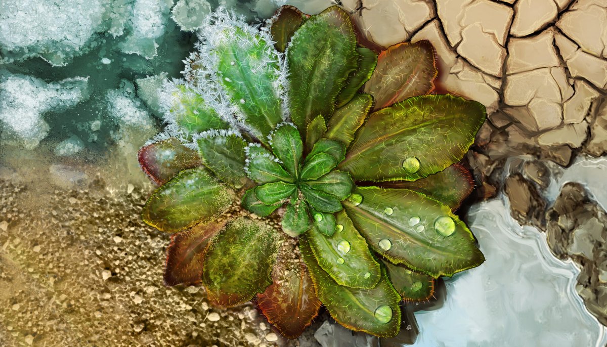 Moi Expósito-Alonso (#MOILAB) tweet media