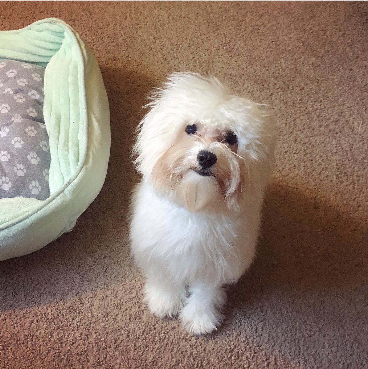 Parisa 🇮🇷🇺🇸 tweet media