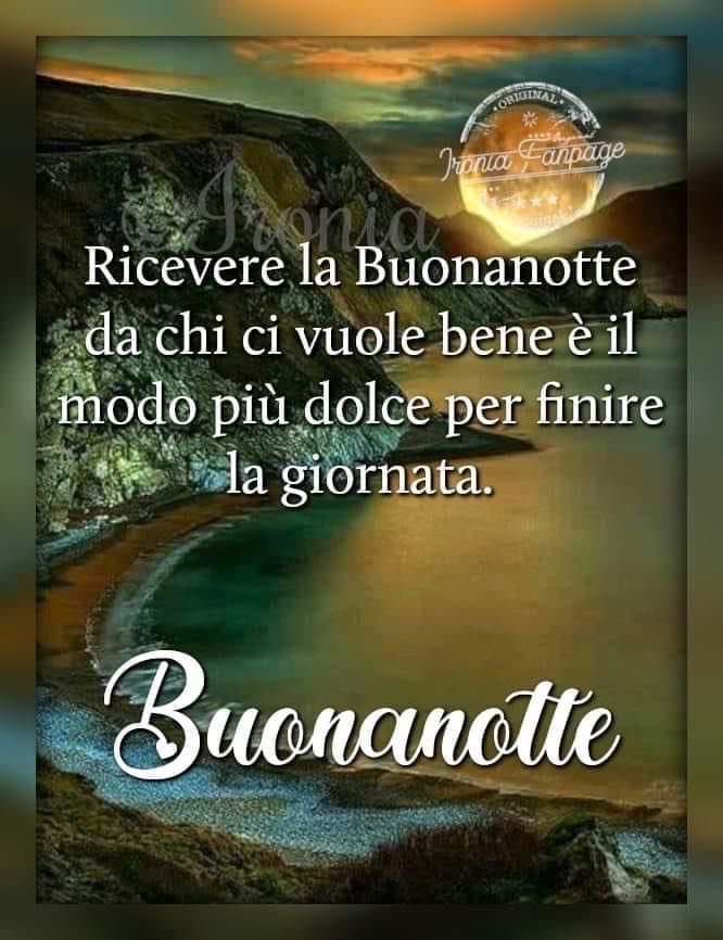 Nina Di Lascio tweet media