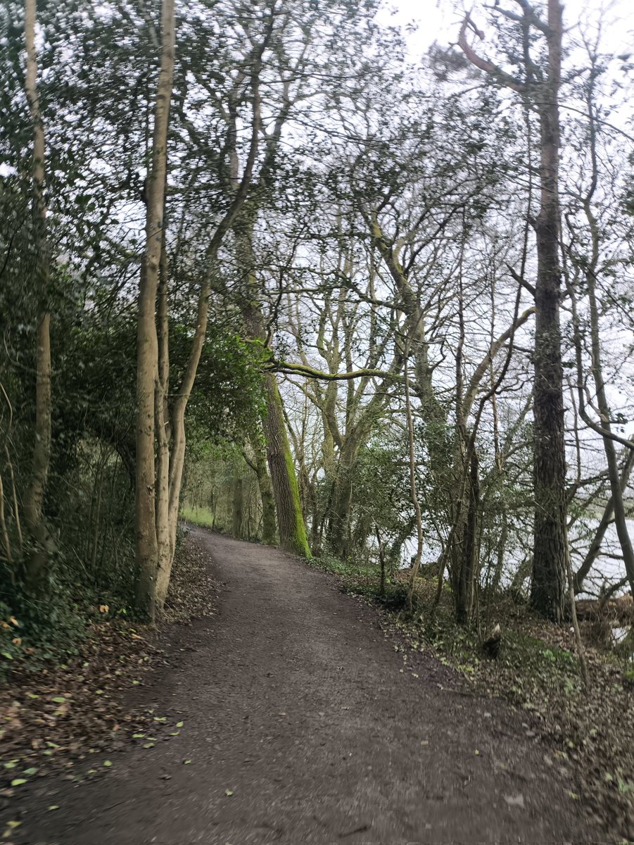 jack272025's tweet image. Be Present Through All The Seasons 🌄#nature #keepfit