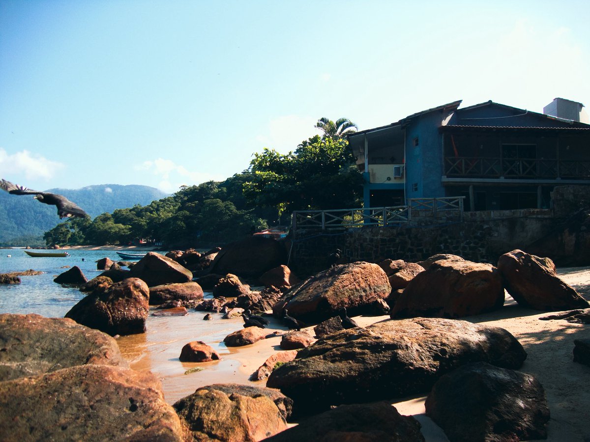 ★ 𝗻𝗮𝗻𝗮 𝗯𝗮𝗻𝗮𝗻𝗮 ★ tweet media