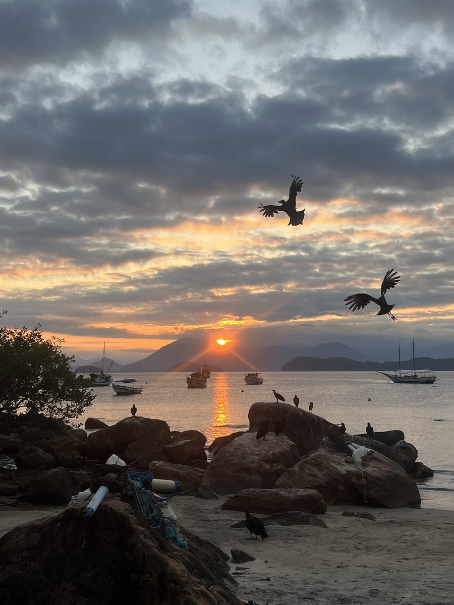 ★ 𝗻𝗮𝗻𝗮 𝗯𝗮𝗻𝗮𝗻𝗮 ★ tweet media