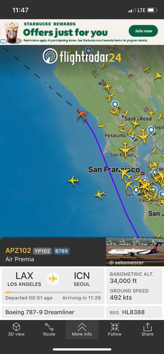 ScromitTheCat tweet media