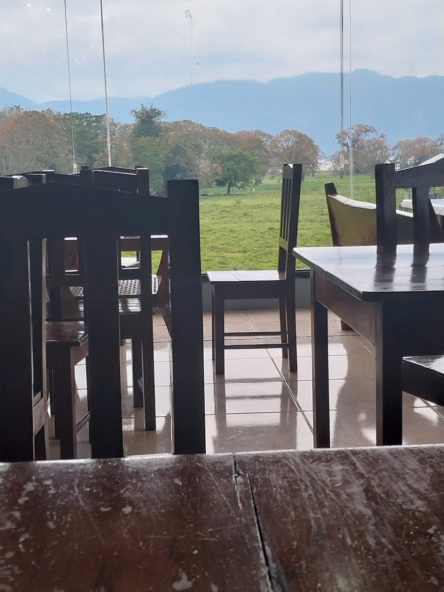 Helio Scanor tweet media