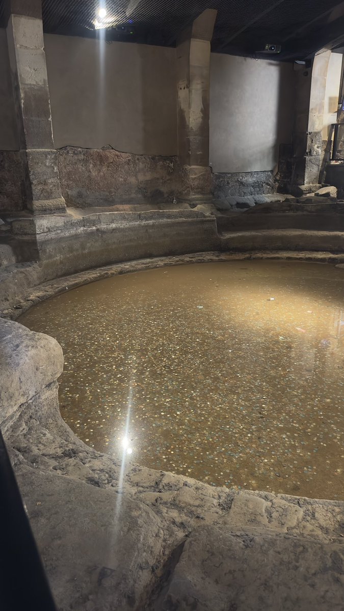 seval1150's tweet image. The Roman Baths Museum 💙 #bath