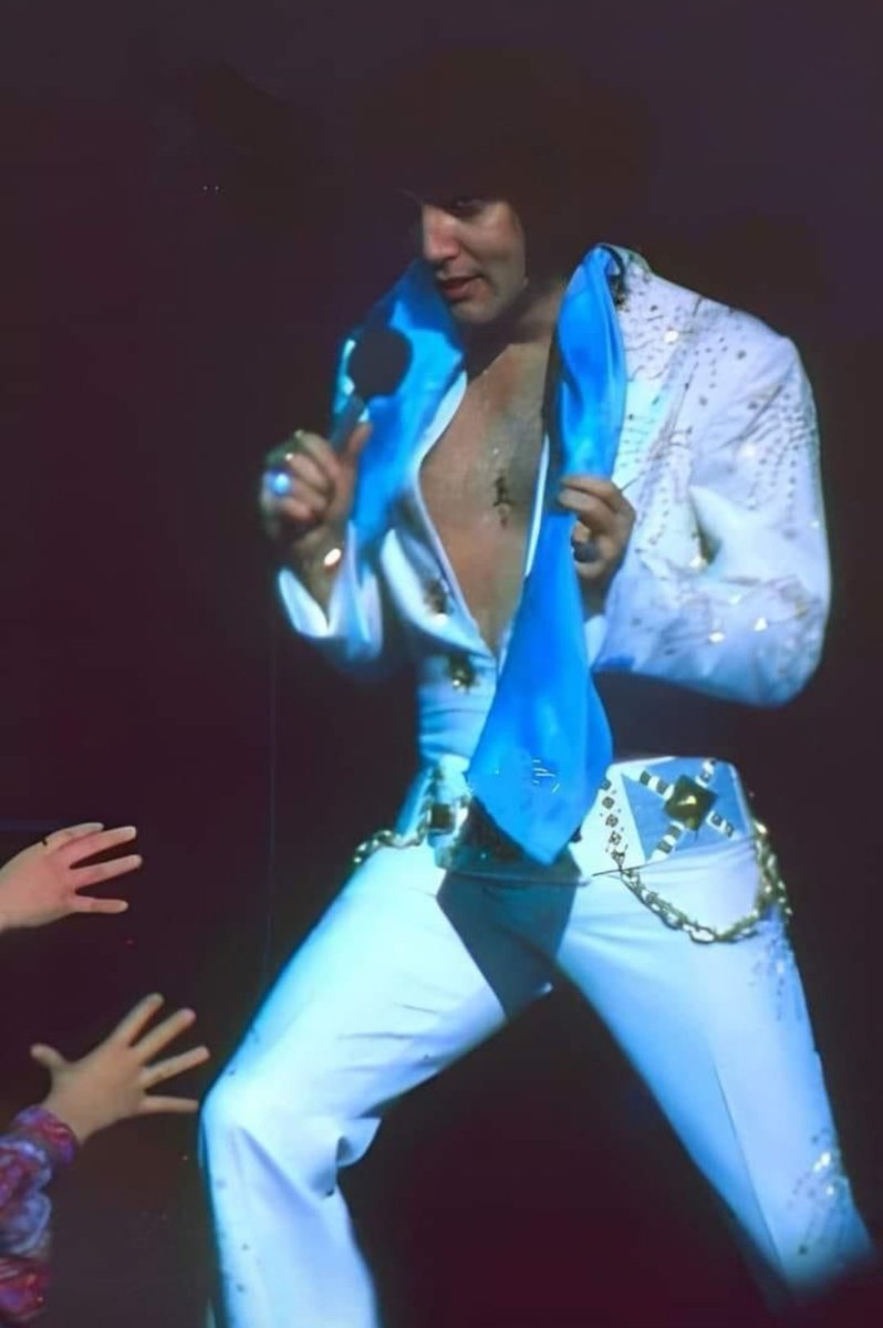 •◉wonder of elvis◉• {belinda} tweet media