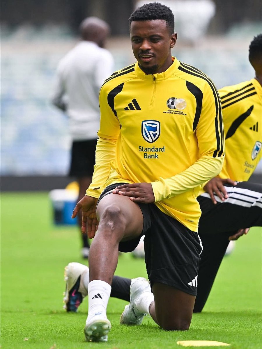 The Sundowns Stand👆 tweet media