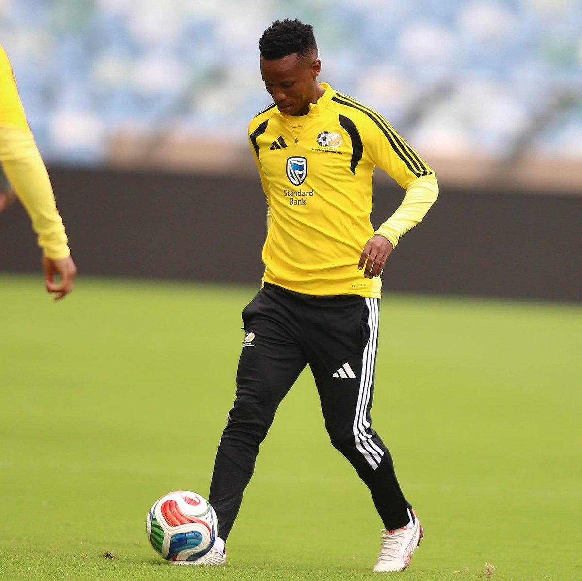 The Sundowns Stand👆 tweet media