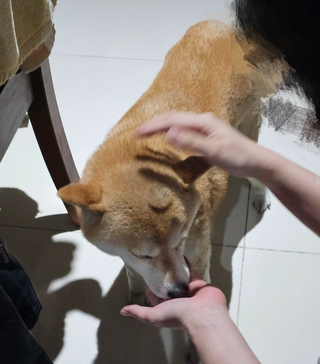 🙉🙉 tweet media