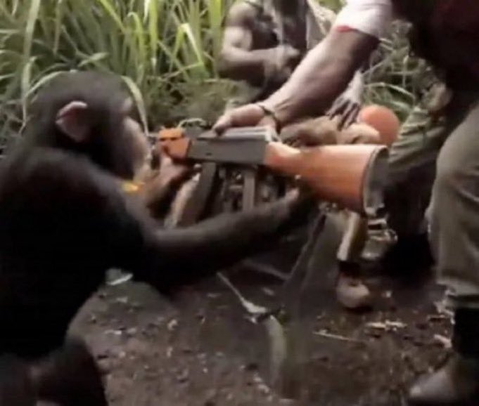 Mareşer tweet media