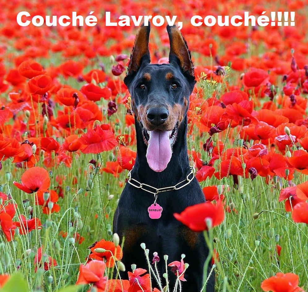 Debunkers des rumeurs/hoax d'extrême droite tweet media