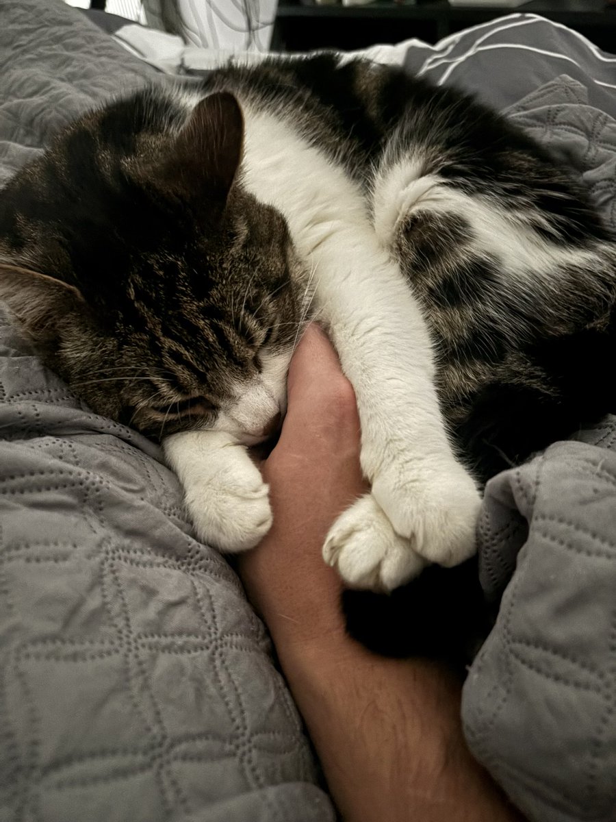 IZI | VinS tweet media