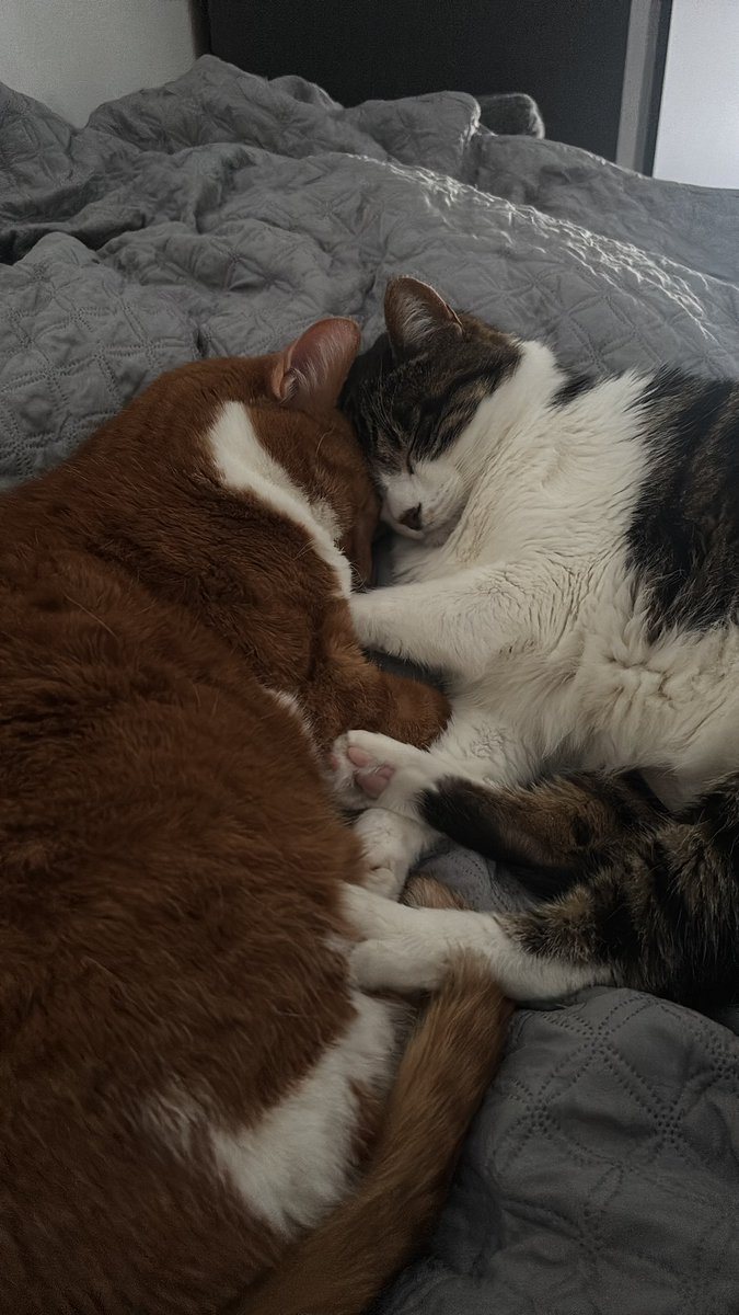 IZI | VinS tweet media