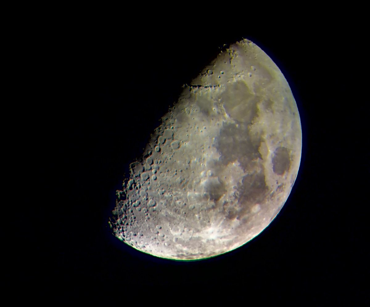 Bernhard B. tweet media