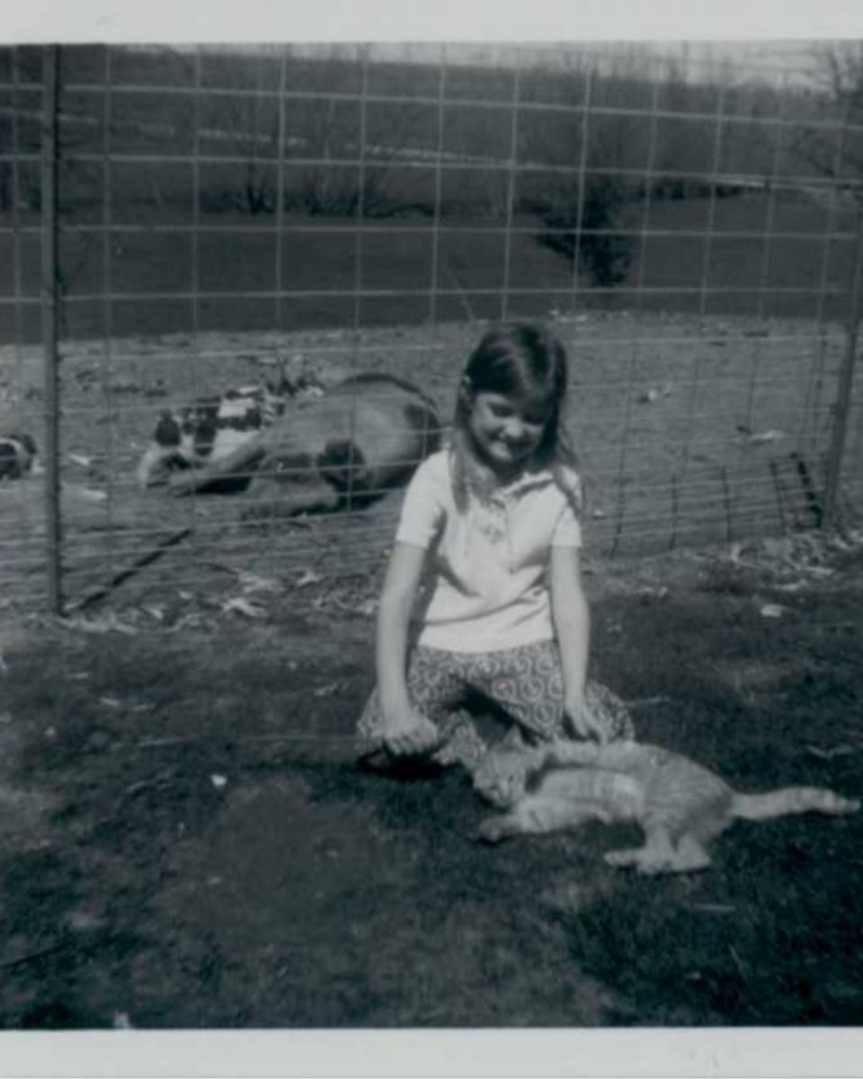 Cindy Holscher tweet media