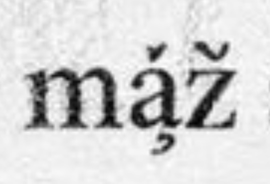Bartłomiej tweet media