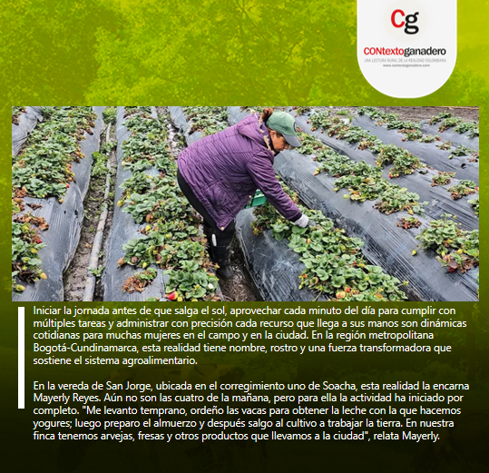 Guavio Pasión Ganadera tweet media