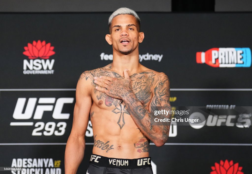 Blind Bear 🐻🕶️ tweet media