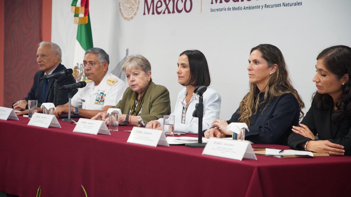 Mariana Boy tweet media