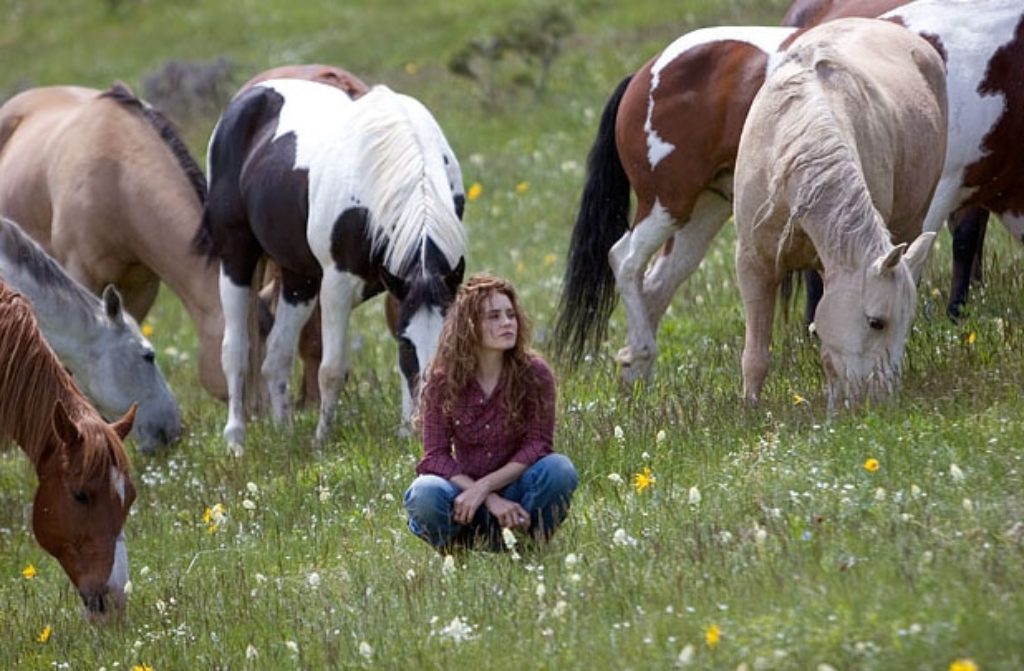 Alison Lohman tweet media
