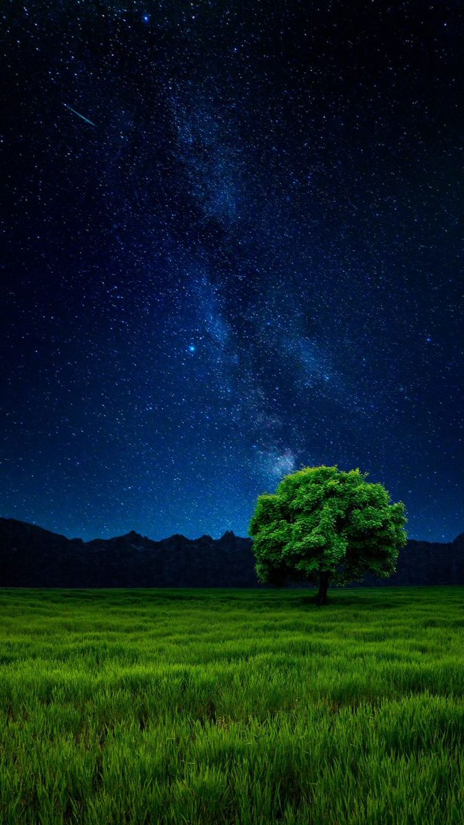 Earth 🍃 tweet media