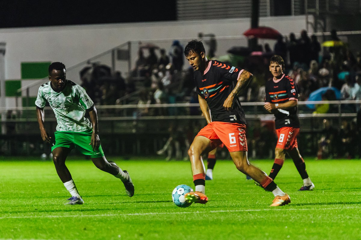 Sarasota Paradise tweet media