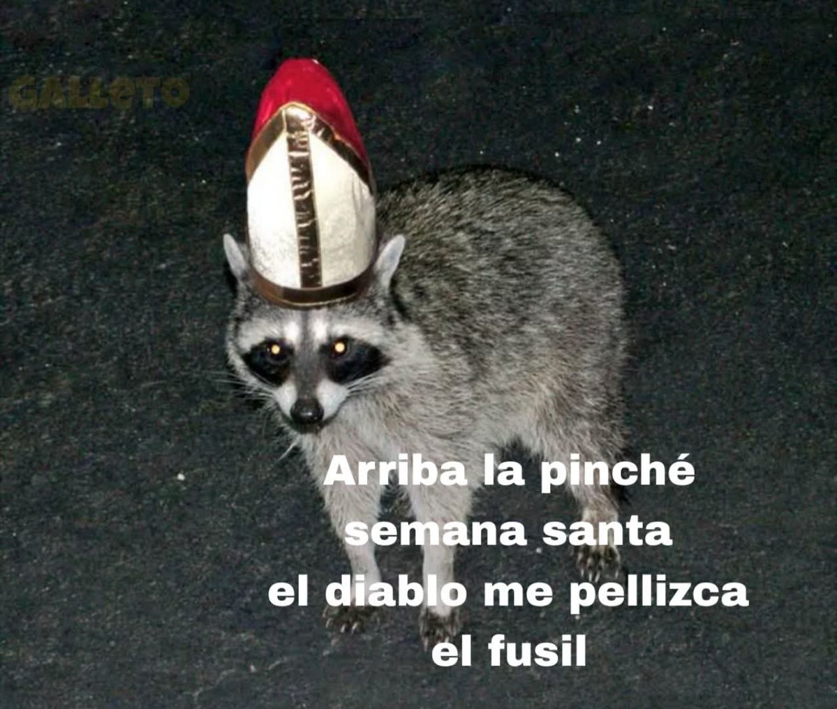 Maestre Mapaxito tweet media