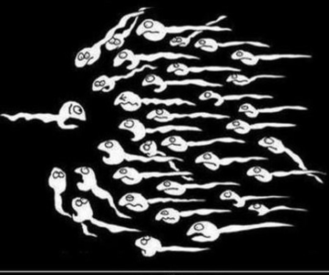 Butrous ba 💨🌿 tweet media