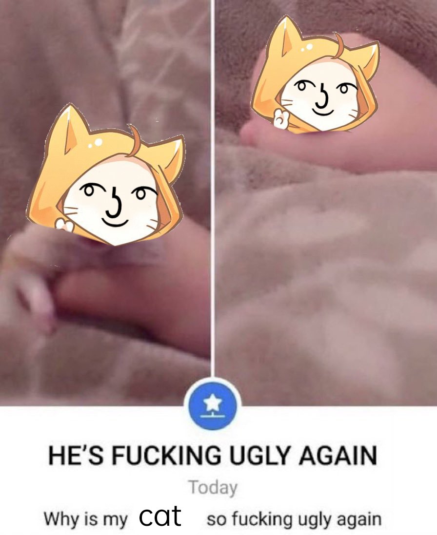 ˚୨୧⋆｡˚ ⋆lilith(๑◕ᴗ◕๑) SHINING NIKKI !! tweet media