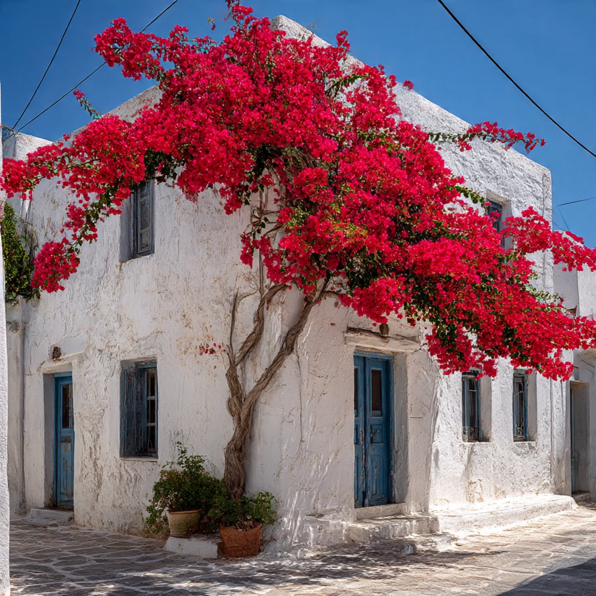 ๐ง๐ฟ๐ถ๐ฝ๐๐ฒ๐๐ฎ ๐โ๏ธ tweet media