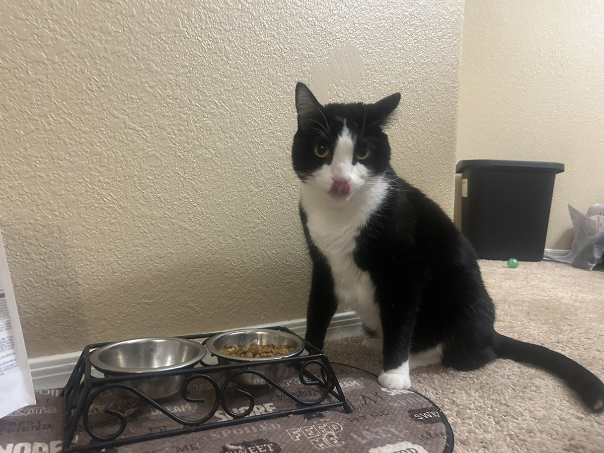 retro yt 𒌐 tweet media