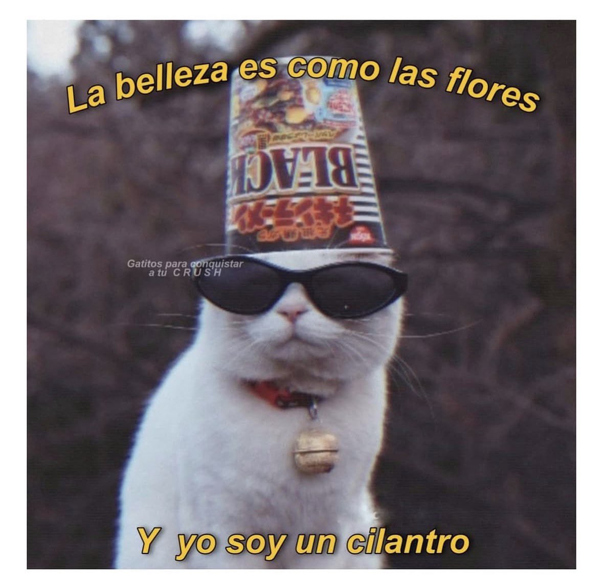 Bryan Vásquez 🇪🇨🇪🇸 tweet media