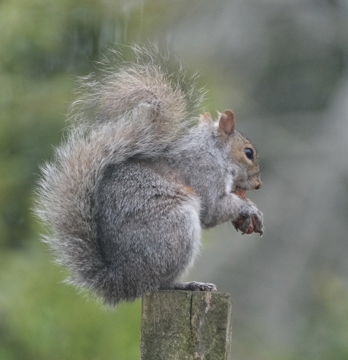 David Turner tweet media