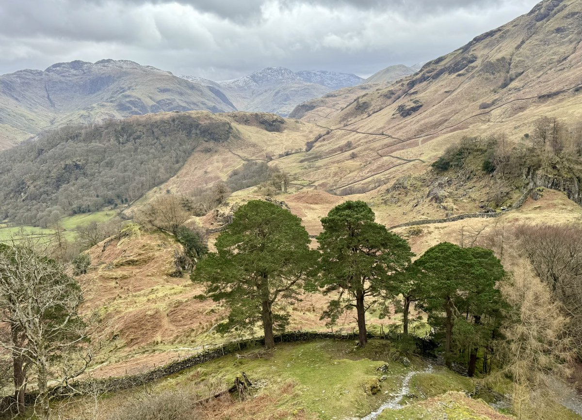 GCS🏴󠁧󠁢󠁳󠁣󠁴󠁿 tweet media