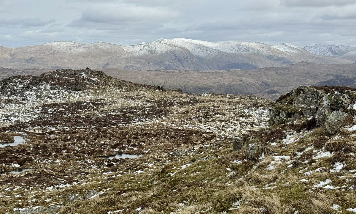 GCS🏴󠁧󠁢󠁳󠁣󠁴󠁿 tweet media