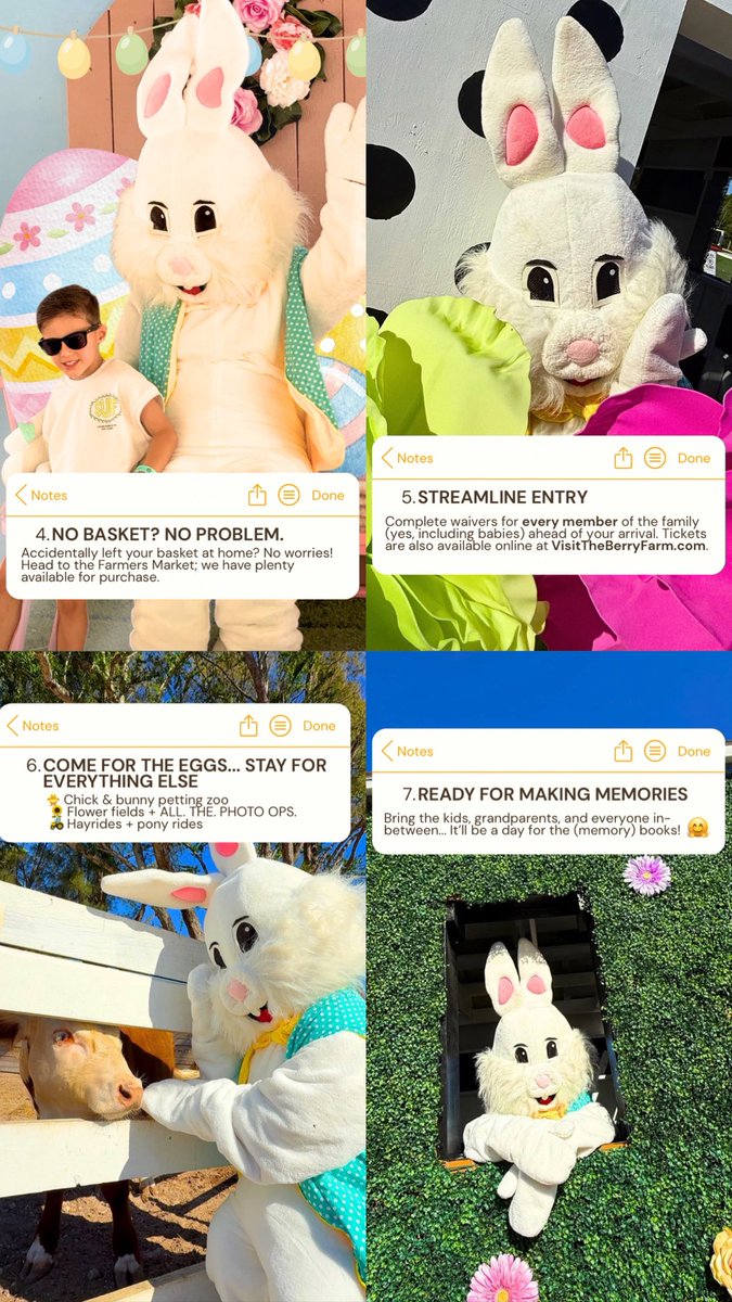 The Berry Farms tweet media